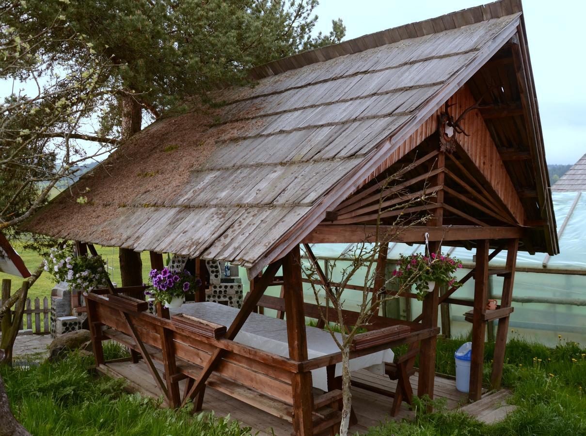 Casa Florea Poiana Stampei Экстерьер фото