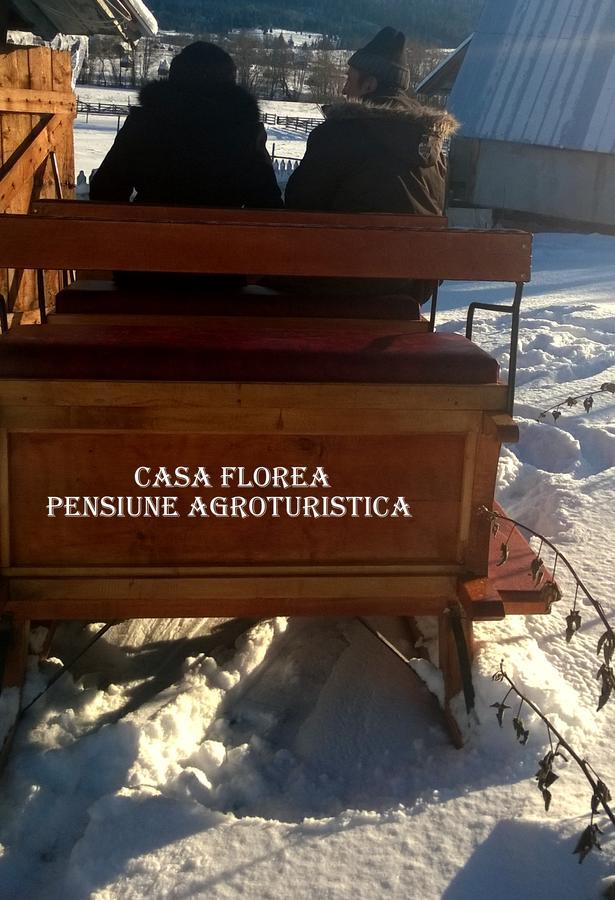 Casa Florea Poiana Stampei Экстерьер фото