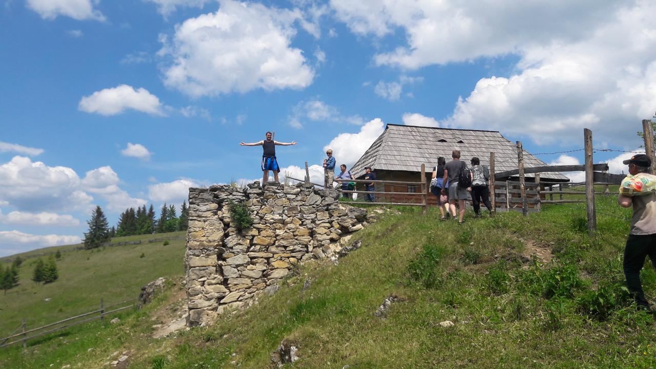 Casa Florea Poiana Stampei Экстерьер фото