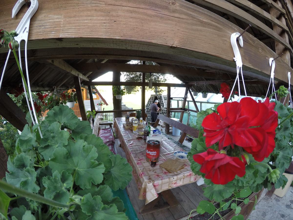 Casa Florea Poiana Stampei Экстерьер фото