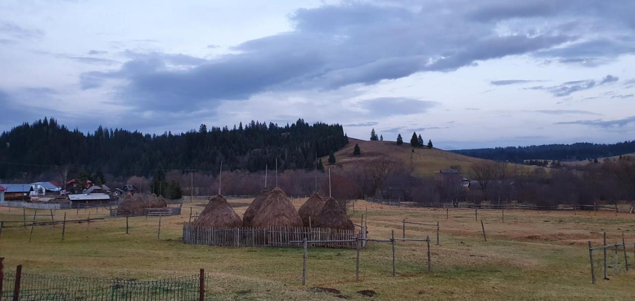 Casa Florea Poiana Stampei Экстерьер фото