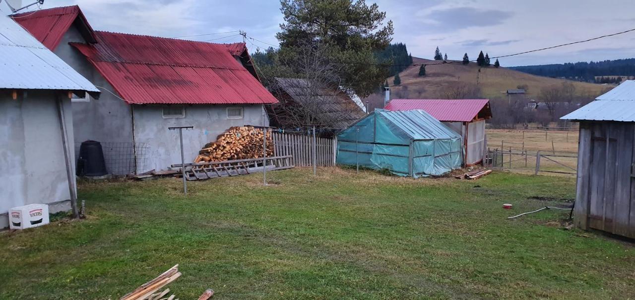 Casa Florea Poiana Stampei Экстерьер фото
